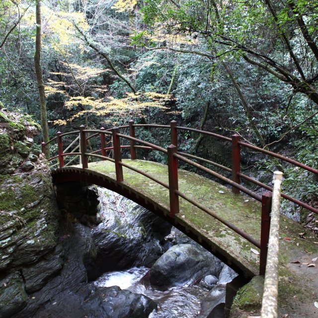 小薮渓谷