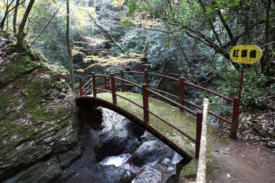 小薮渓谷に存在する5つの滝は美妙滝、いこい滝、竜王滝、八大竜王大神滝、紅葉滝と名付けられ、その上には5つの橋が架けられている。
