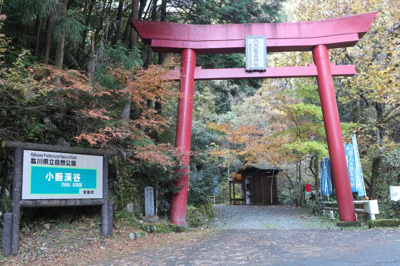 渓谷には八大龍王神社が鎮座するため、渓谷の入口にあたる場所には鳥居がある。鳥居をくぐると渓谷散策のスタート。