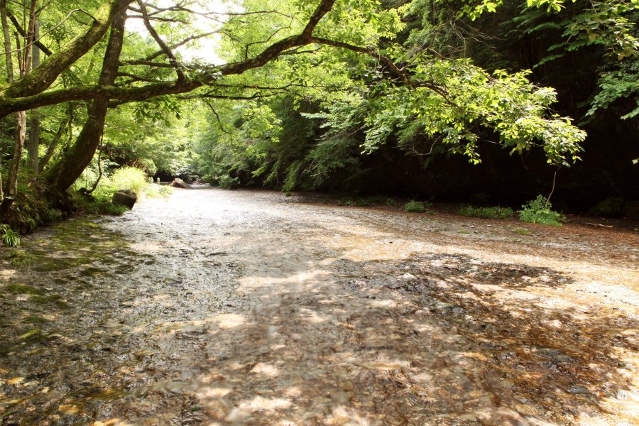 ナメラと呼ばれる一枚岩の川床を滑るように水が流れる。