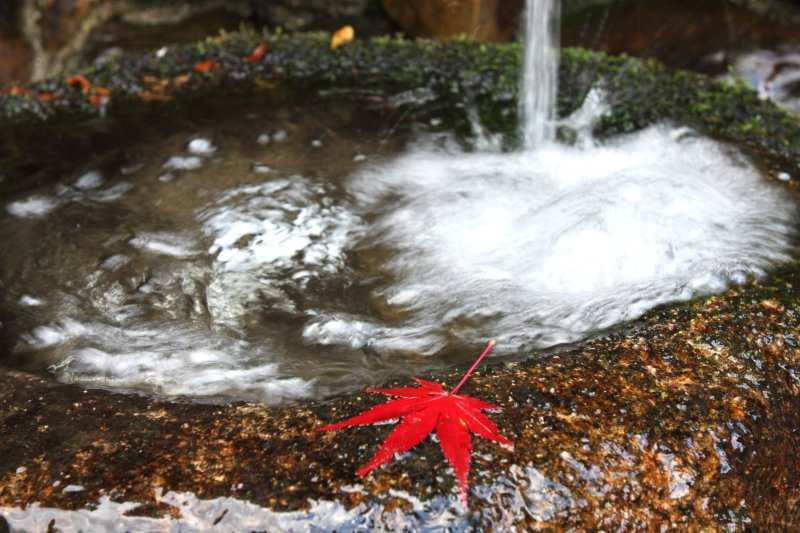 篠山から湧き出る清らかな名水。これだけを汲みに来る人もいるほど。