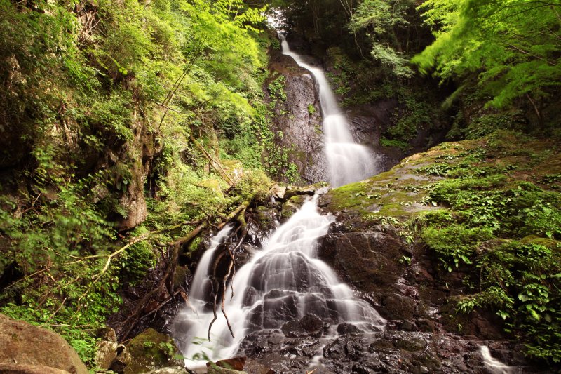 白糸の滝は、自然が作り出した壮大なる芸術品。