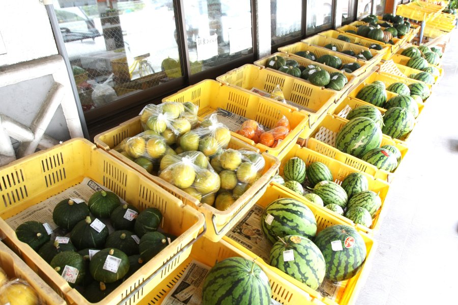 みかんの町、吉田町で採れた新鮮な柑橘や野菜を販売。特に時期になればさまざまな種類の柑橘が販売される。