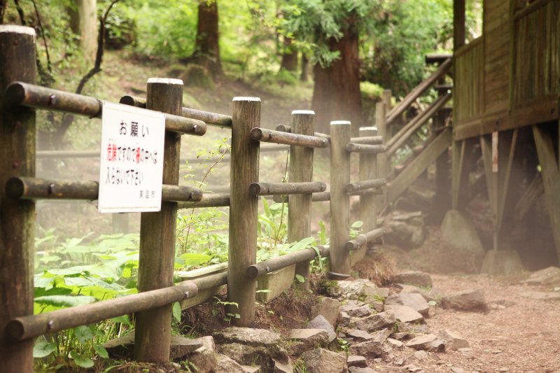 夏になると外気との温度差により神秘的な霧が発生。