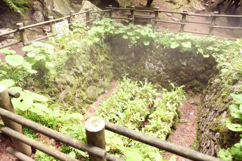 緑に囲まれた風景を見ているだけでも「涼」を感じる。この辺りは、風穴から発生する霧が天然クーラーのようで、夏の猛暑を吹き飛ばしてくれる。