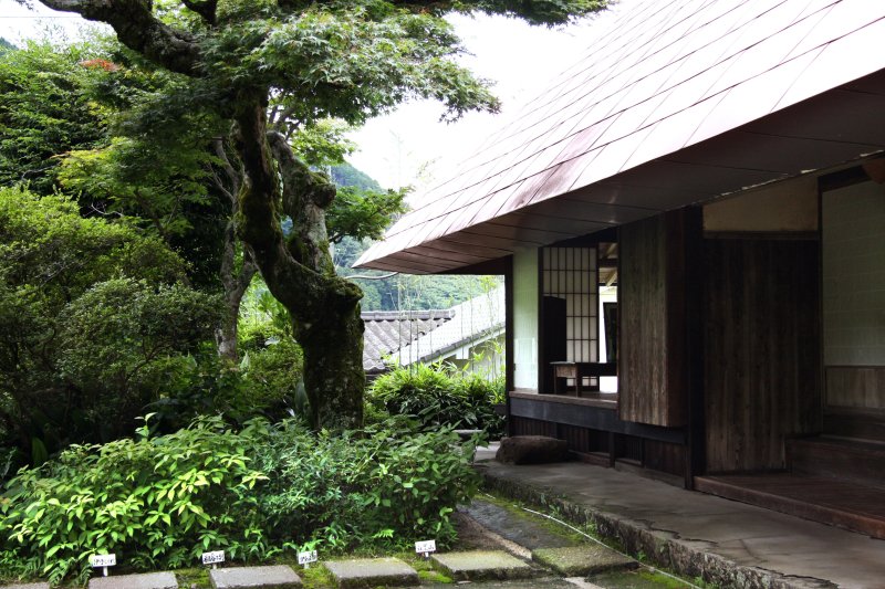庭先ののどかな景色を望める一畳庵。ランチタイムに場所を借りることも可能。
