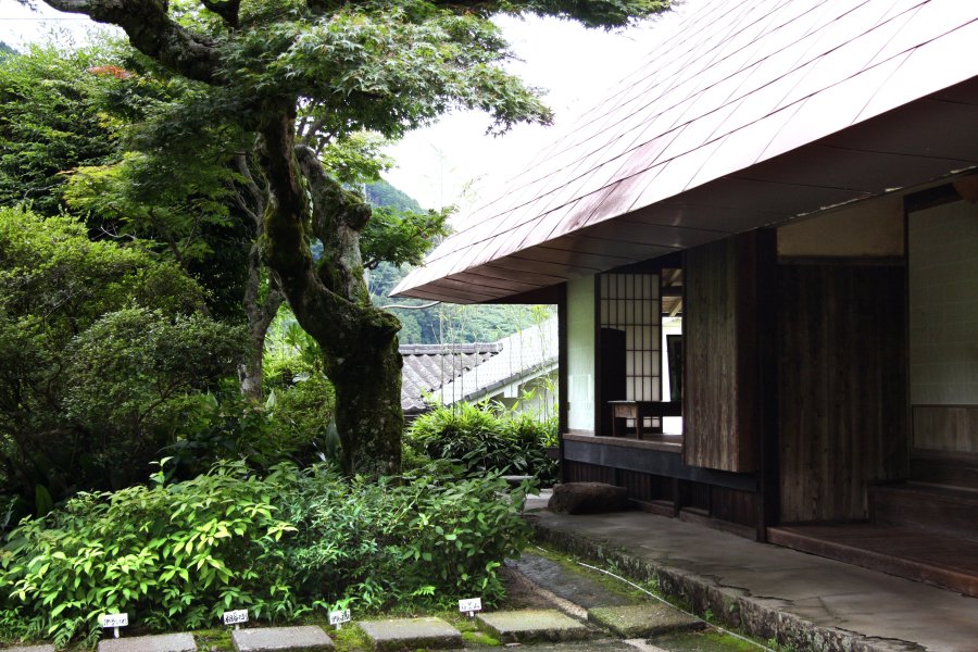 庭先ののどかな景色を望める一畳庵。ランチタイムに場所を借りることも可能。