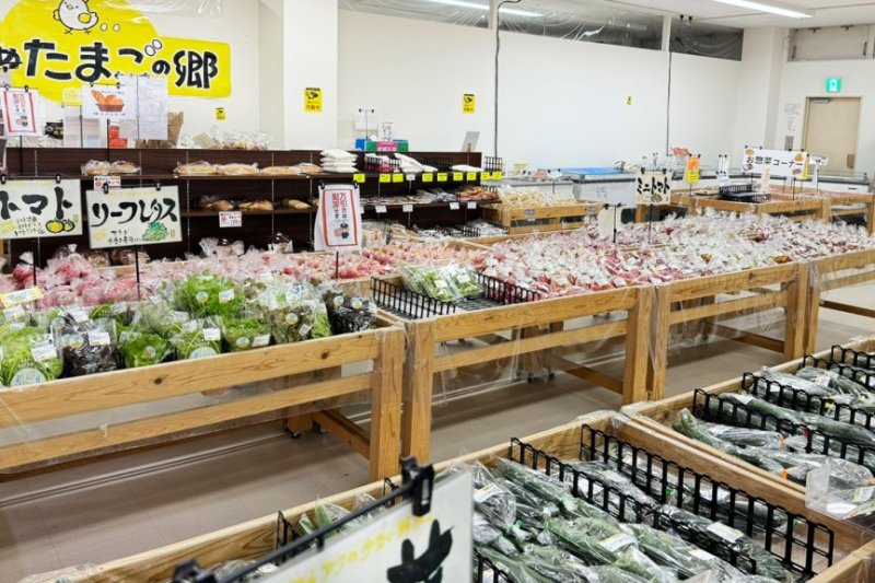 愛媛県産の野菜にこだわり、約60種類の野菜が並ぶ。