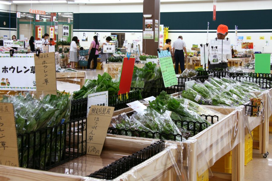 愛媛県産の野菜にこだわり、約60種類の野菜が並ぶ。