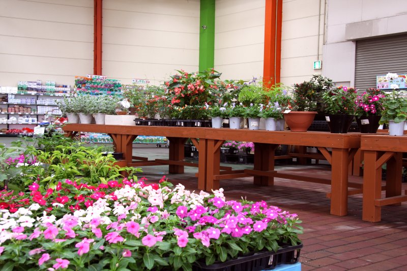 店外には、種類が豊富な花や植木をはじめ、野菜の種も販売している。