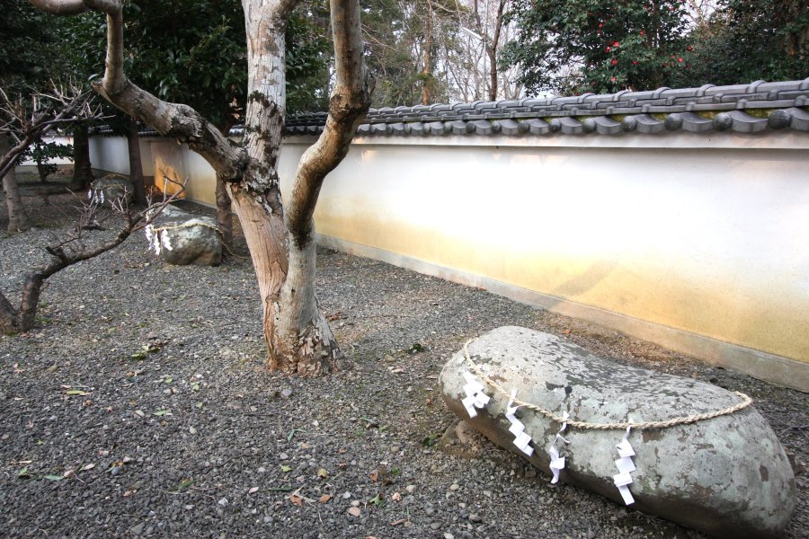 本殿の庭には、古代の祭祀様式の一つである3つの自然石が配置された磐座（いわくら）が現在も残されている。