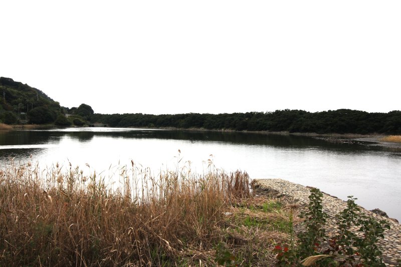海水を引き込んだ海水池には、年間を通して多くの野鳥の姿を見ることができる。