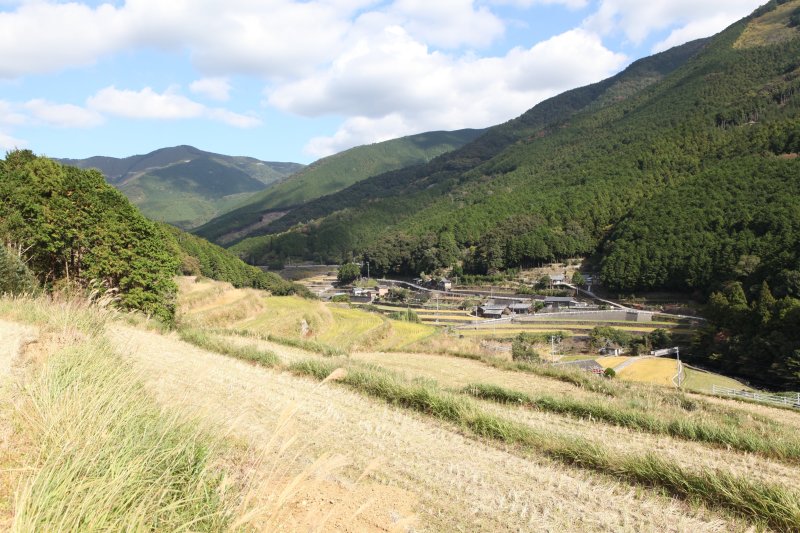 豊富に湧き出す名水「山出観音水」を使い、大自然の力をいっぱい吸収して育つ山出の米は人気が高い。