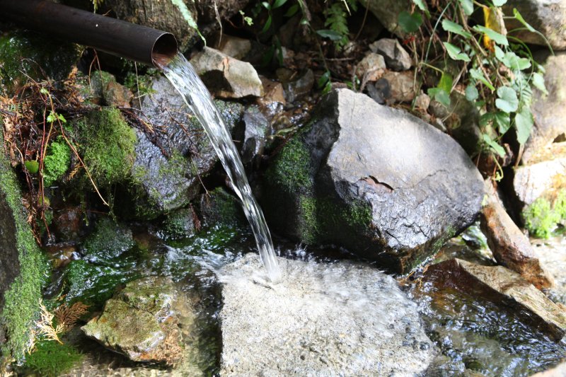 「清水の水」とも呼ばれる「山出観音水」は、遠方から足を運び湧き水を汲みに来る人がいるほどの名水。