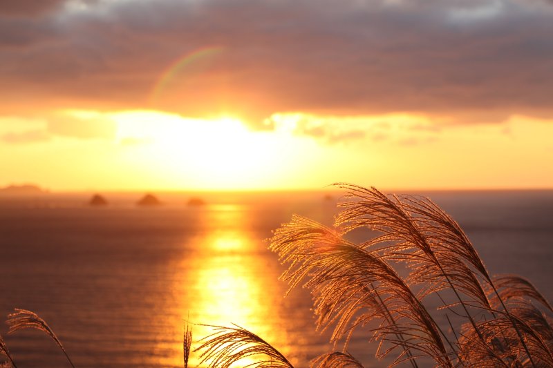 四季折々の光景を見ることができ、秋にはススキの穂が夕日に照らされ何とも言えない情景を醸し出す。