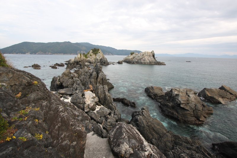 太平洋の荒波が生み出した景勝地･「天嶬の鼻」。