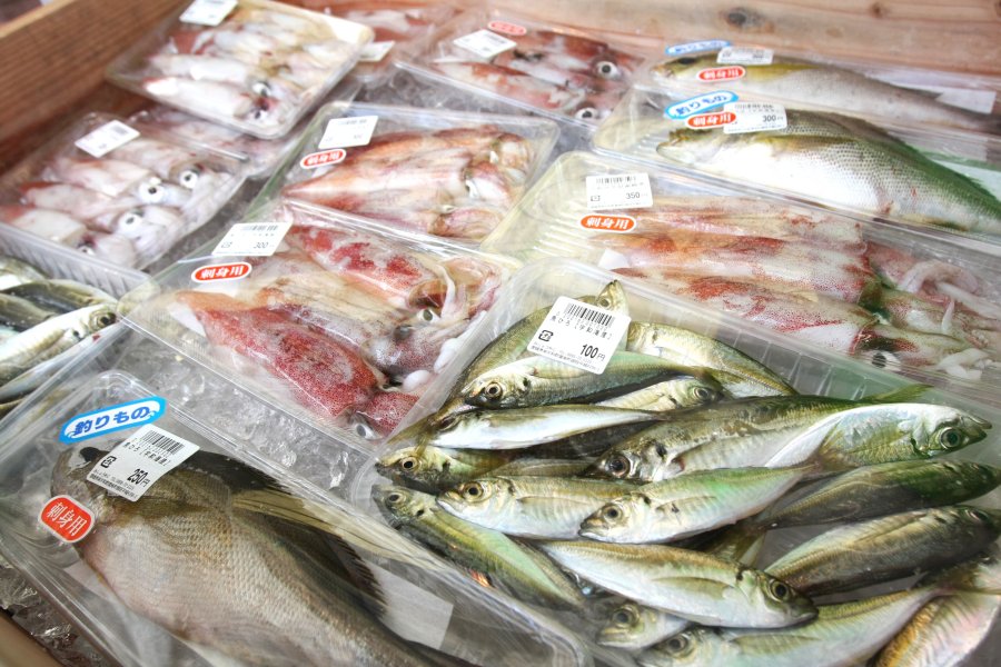 宇和海で獲れた新鮮な魚介類も種類が豊富で旬な魚が一目で分かる。
