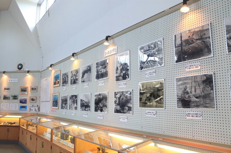 紫電改や戦争に関する資料や写真などが数多く保存展示されている。