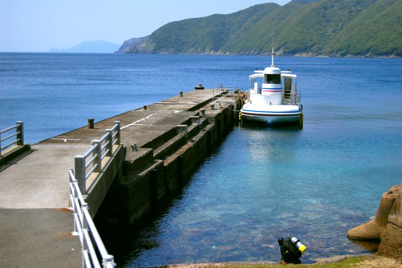 「海底が見える船」とダイビングを楽しむ旅行者