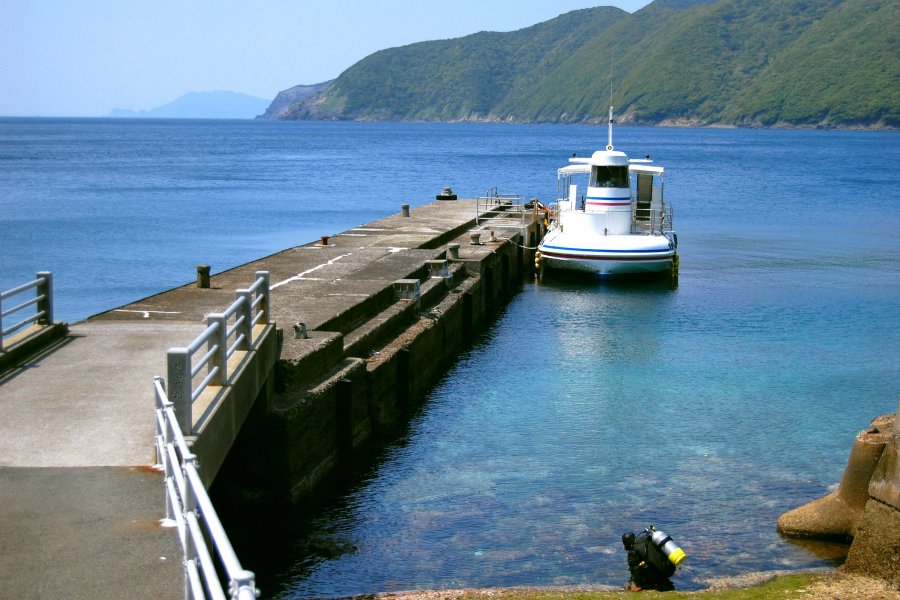「海底が見える船」とダイビングを楽しむ旅行者