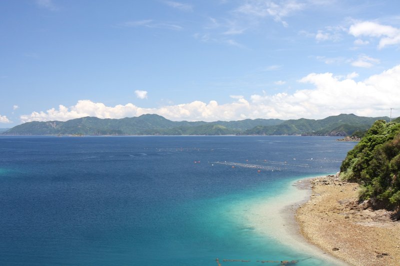 青々とした美しい景観を見せる船越運河付近の海。