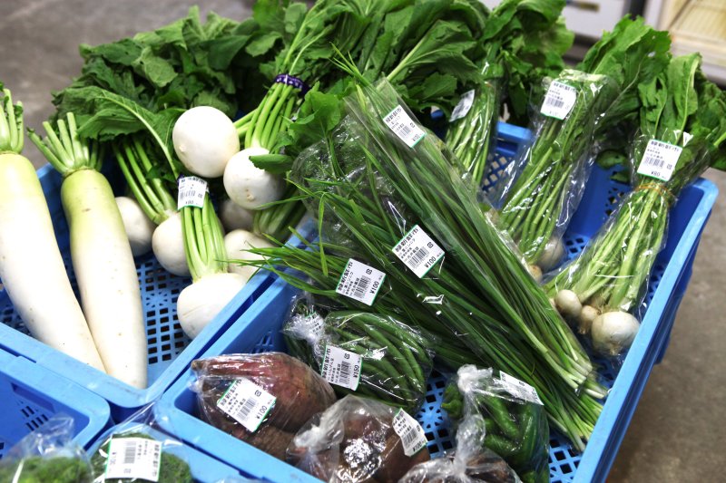 新鮮な果物や野菜が毎朝農家から直接持ち込まれ、所狭しと並べられる。