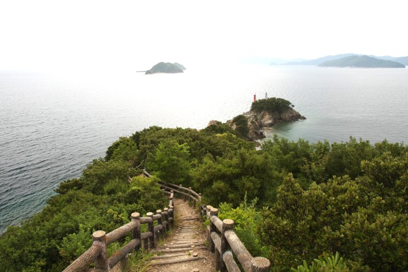 木々が生い茂る遊歩道を抜けると、突然目の前に海と自然の景観が広がる。