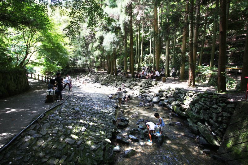 渓谷には水遊びやリフレッシュのために訪れる人が多い。