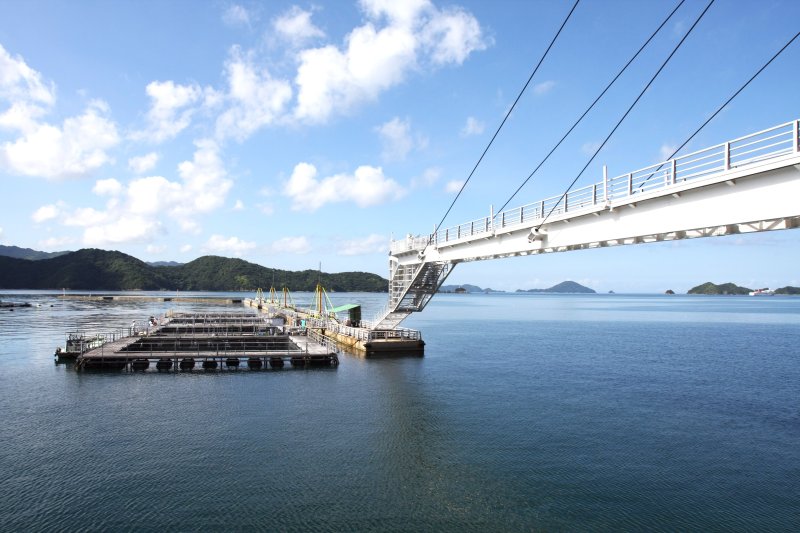 海面と平行に伸びる白亜の橋「びゅうブリッジ」は、長さ81mの世界最大規模となる片持ち型斜張橋。
