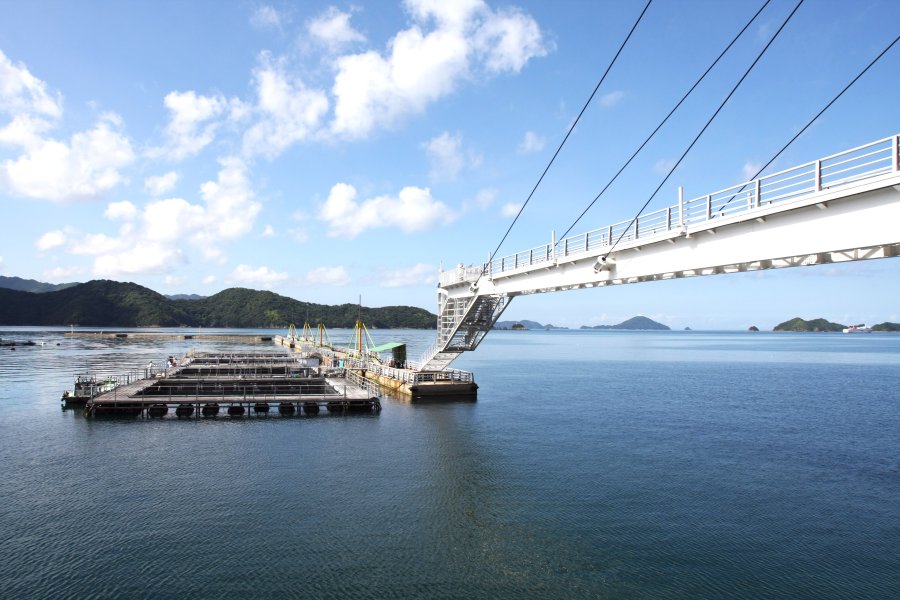 海面と平行に伸びる白亜の橋「びゅうブリッジ」は、長さ81mの世界最大規模となる片持ち型斜張橋。