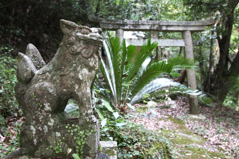 夜と昼の区別がつかないほど深い山であることから、夜昼峠と名付けられた山のふもとにある神社は、苔むしてうっそうとしている。