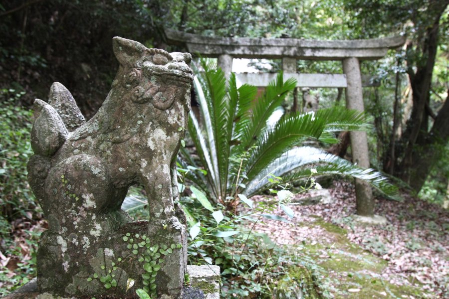 夜と昼の区別がつかないほど深い山であることから、夜昼峠と名付けられた山のふもとにある神社は、苔むしてうっそうとしている。