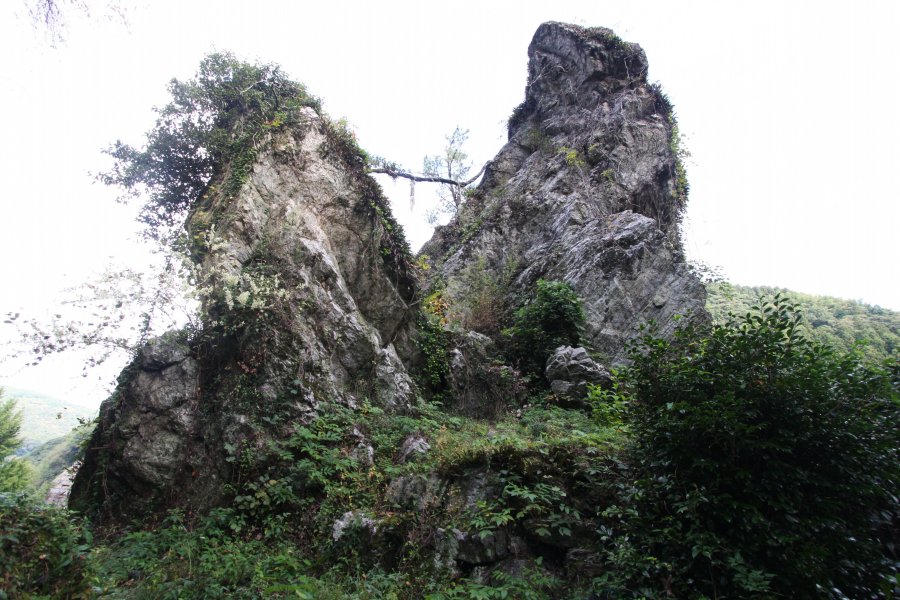 近くで見ると大迫力の夫婦岩の間には注連縄が張られており、威厳すら感じさせられる双竜の化身･夫婦岩。