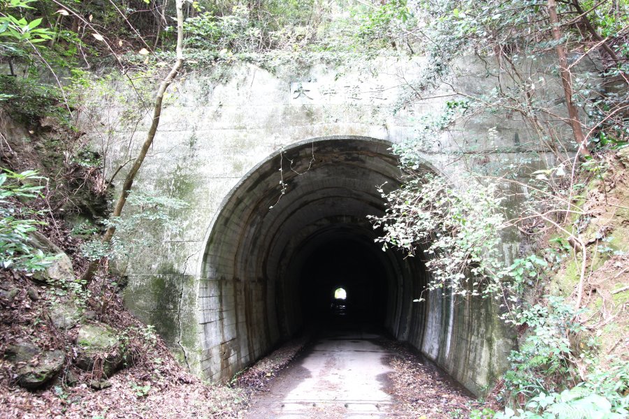 一見すると普通のトンネルだが、中に入ってみると…。