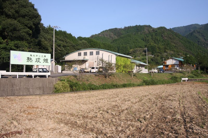 山の緑と川の清流に恵まれた鬼北町にあるきじ工房に隣接する飼育場では、高麗きじが育てられている。