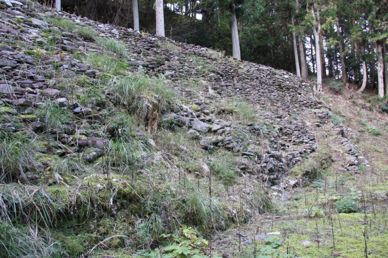 高さ約6m、長さ約25mにわたって築かれた本堂跡の石積みは、1588年に焼失してから長い年月が過ぎ去った現在でもその面影を伝えている。