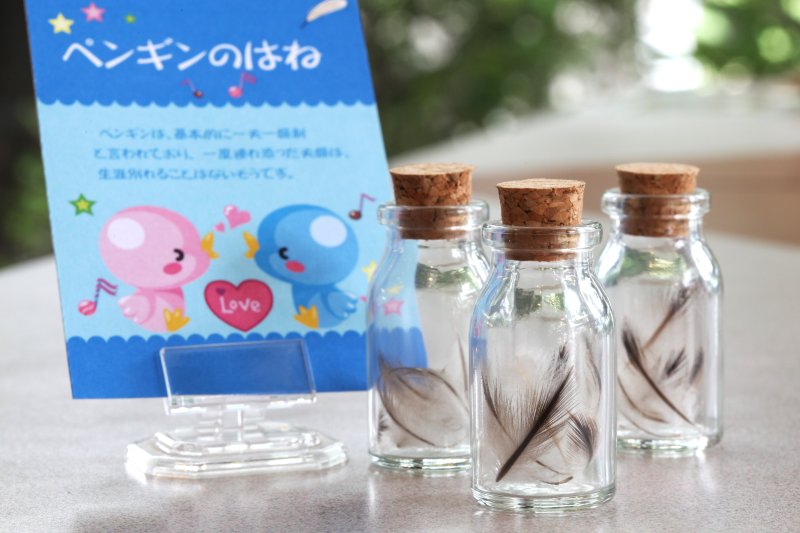 夫婦円満のお守りに人気の「ペンギンのはね」。