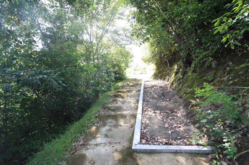 山の斜面を削って平らにし、階段状になった登り道。
