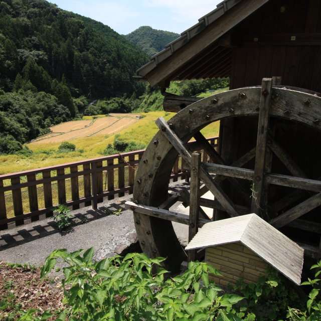 奥内棚田