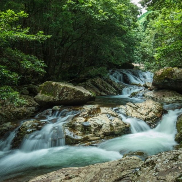 森と水の渓谷美に心満たされる旅