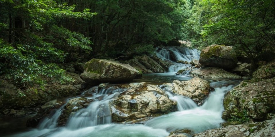 森と水の渓谷美に心満たされる旅