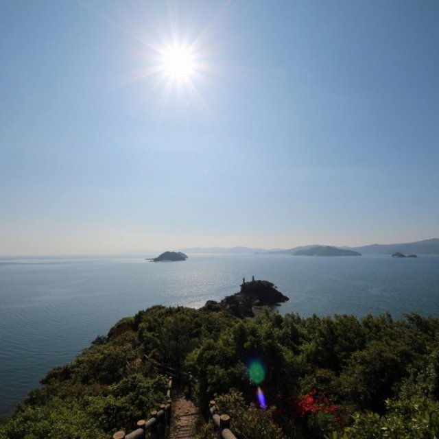 【グルメ旅】新鮮な山の幸・海の幸に舌鼓　八幡浜1日コース