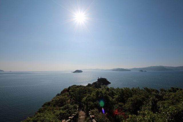 【グルメ旅】新鮮な山の幸・海の幸に舌鼓　八幡浜1日コース
