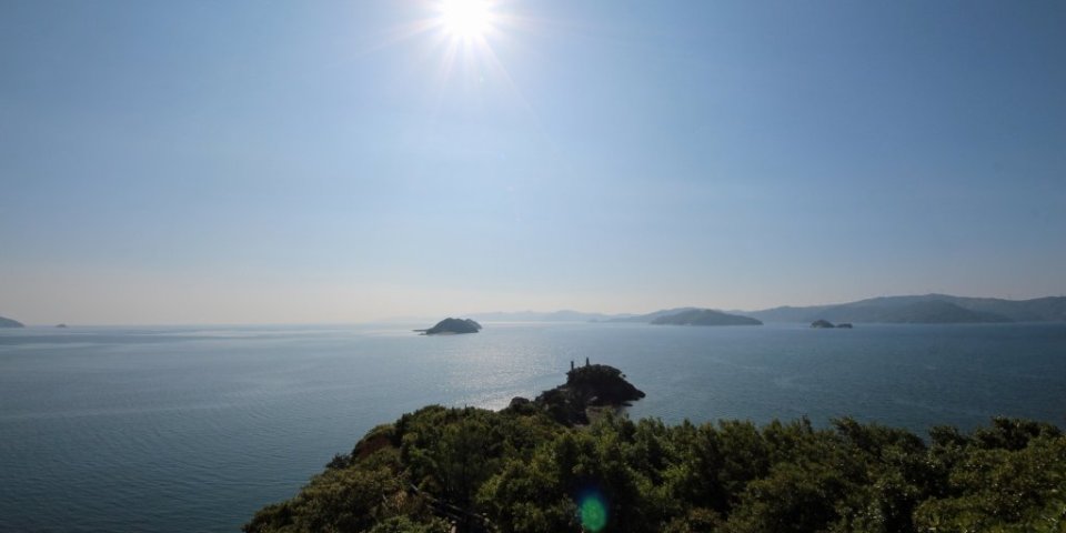 【グルメ旅】新鮮な山の幸・海の幸に舌鼓　八幡浜1日コース