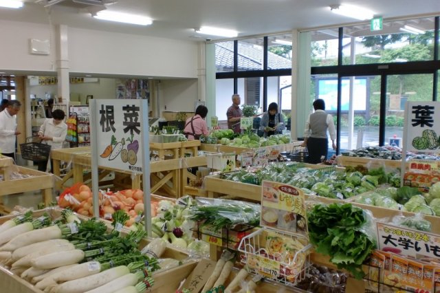 道の駅　広見森の三角ぼうし