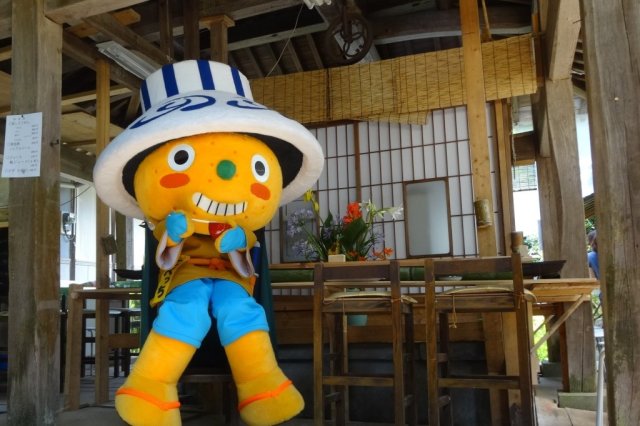 坪内家流しそうめん