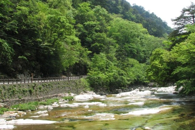 面河渓（散策・渓泉亭面河茶屋で昼食）