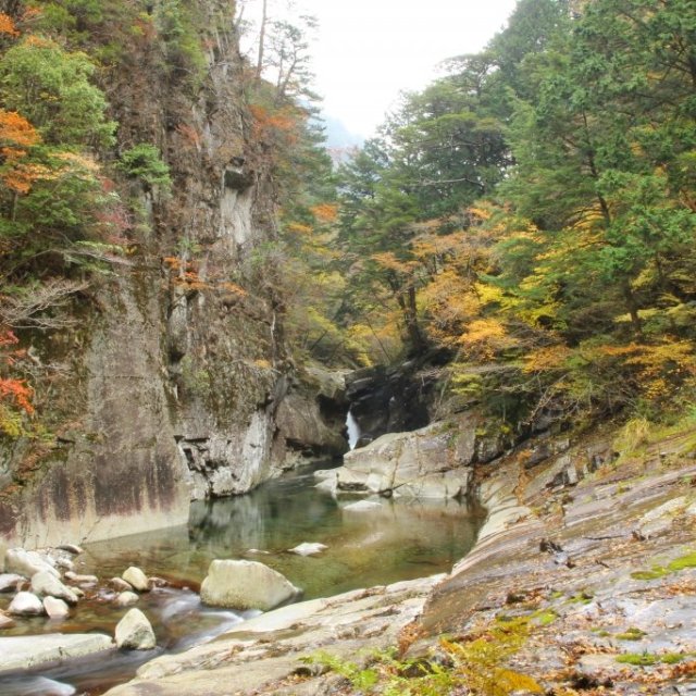 面河渓
