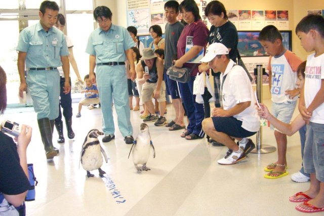 道の駅　虹の森公園まつの「四万十川学習センターおさかな館」
