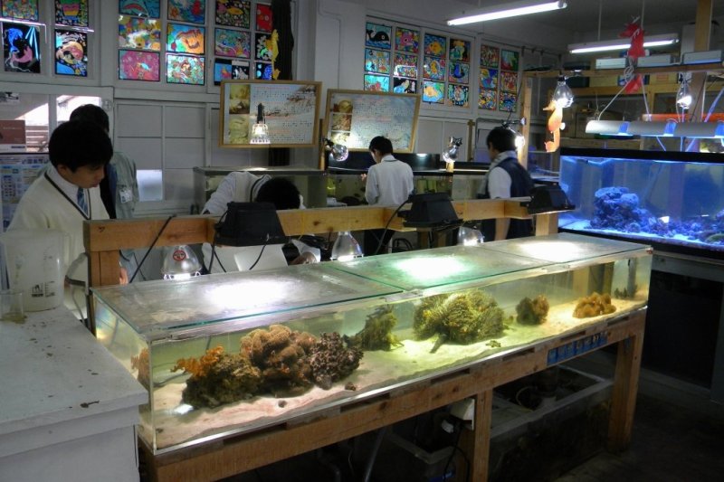 水族館部の高校生によるおもてなし水族館 愛媛のスポット 体験 愛媛県の公式観光サイト いよ観ネット
